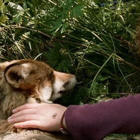 Bertille Noël-Bruneau